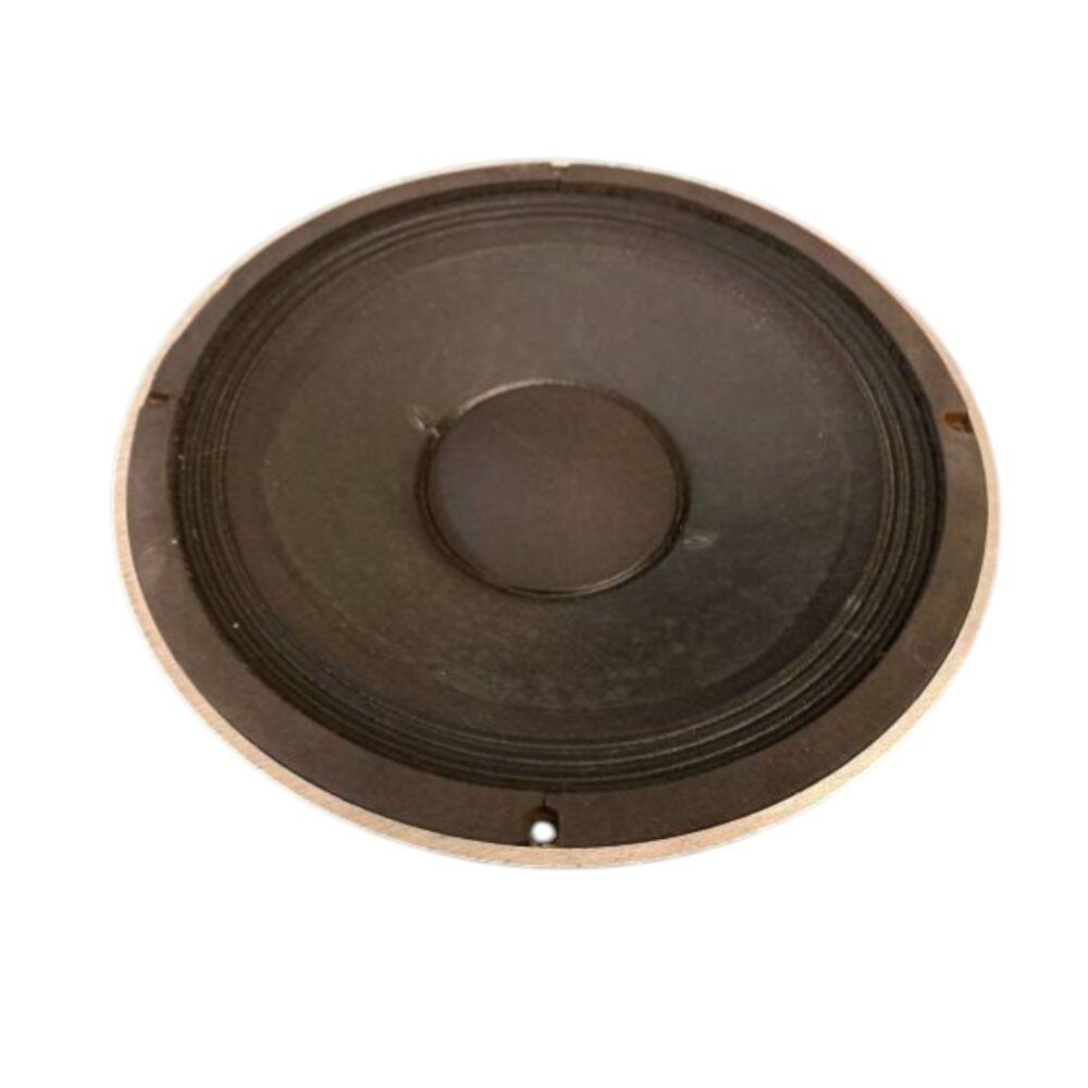 Altoparlante woofer con cono e cupola centrale, vista frontale